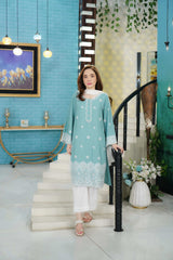 2 Piece Cotton Dobby Chikankaari Embroidered Suit
