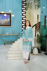 2 Piece Cotton Dobby Chikankaari Embroidered Suit