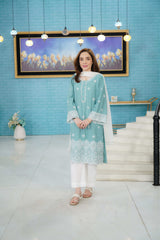 2 Piece Cotton Dobby Chikankaari Embroidered Suit