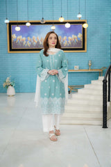 2 Piece Cotton Dobby Chikankaari Embroidered Suit