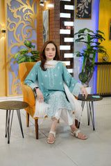 2 Piece Cotton Dobby Chikankaari Embroidered Suit