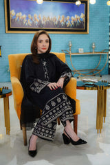 2 Piece Cotton Embroidred Suit