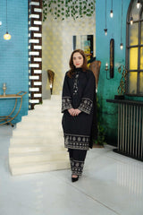 2 Piece Cotton Embroidred Suit