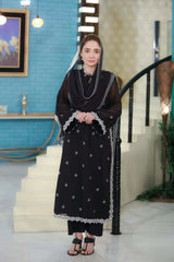 2 Piece Chikankaari Embroidered Suit  ( linned)