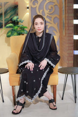 2 Piece Chikankaari Embroidered Suit  ( linned)