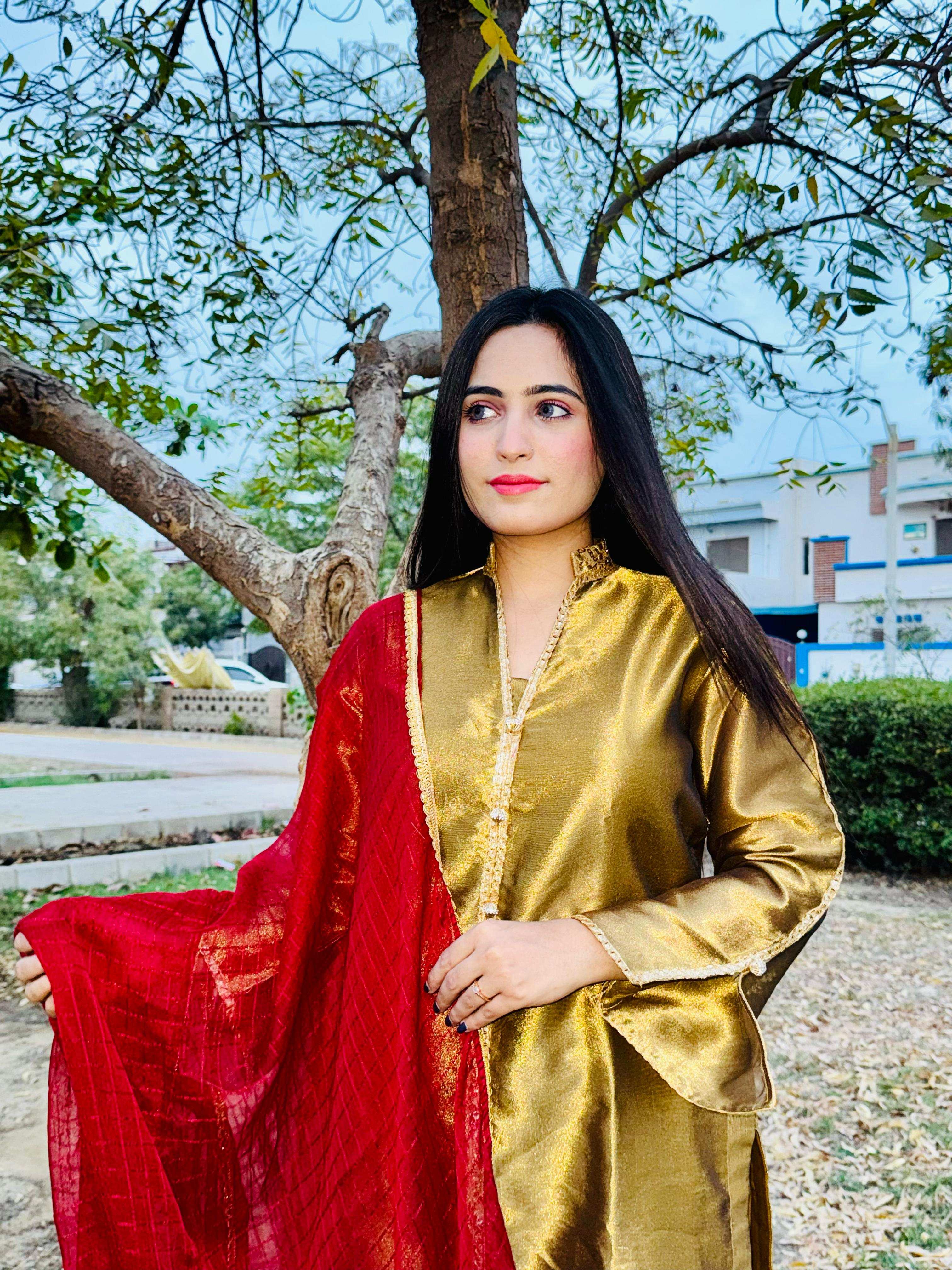 3 Piece Embroidered Suit