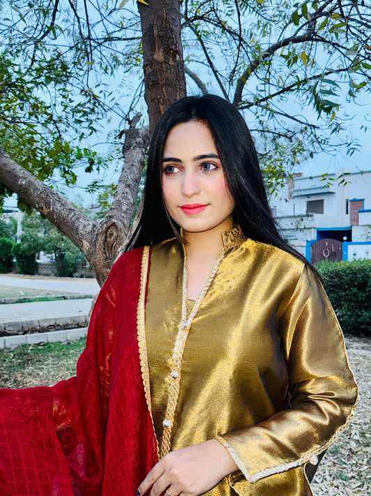 3 Piece Embroidered Suit