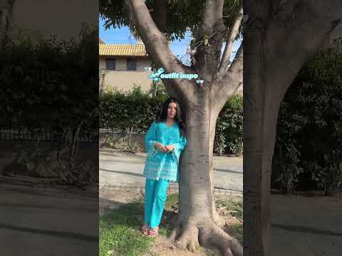 2 Piece Cotton Chikankaari Embroidred Co- Ord Set